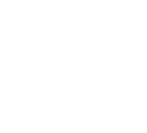Birddogs Logo