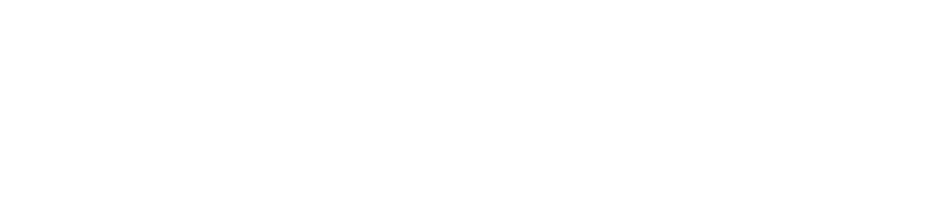 Mountain Crew Logo